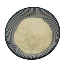 Lactobacillus fermentum factory best price high quality probiotics powder products wholesale
